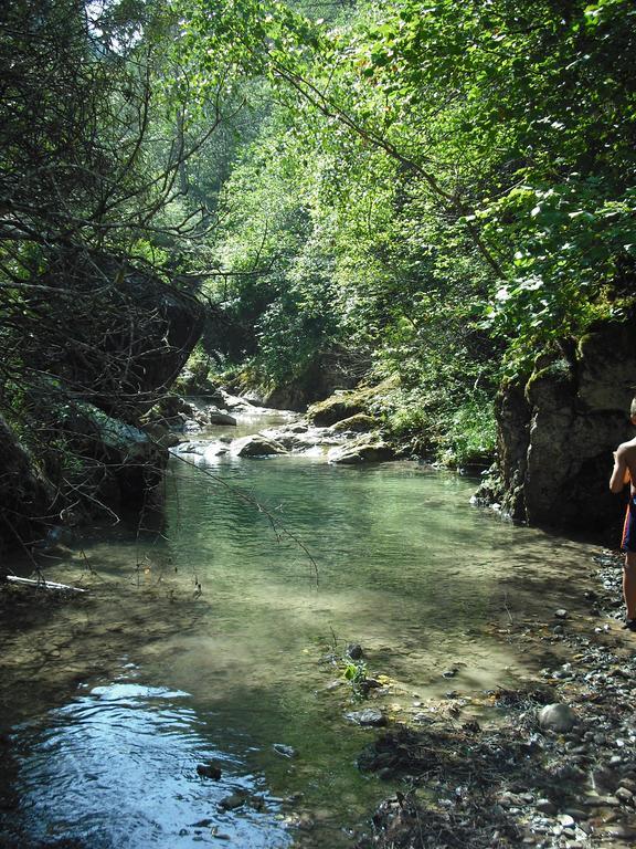 El Molino Daire Castejón de Sos Dış mekan fotoğraf