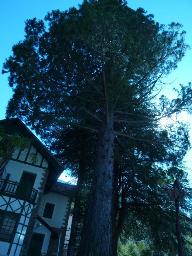 El Molino Daire Castejón de Sos Dış mekan fotoğraf